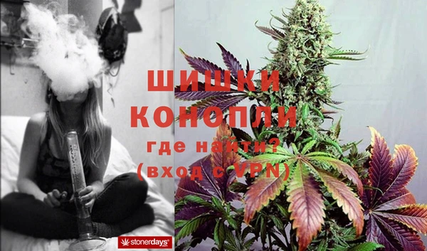 спиды Дмитриев