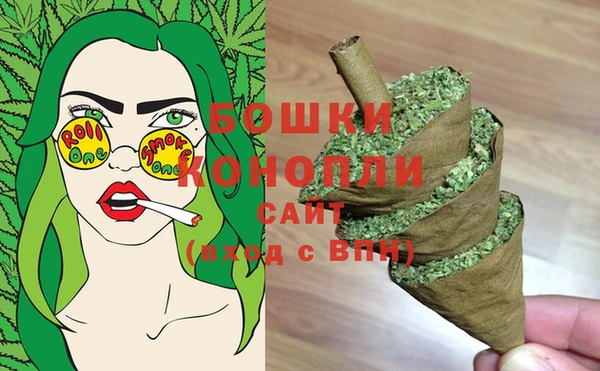 спиды Дмитриев