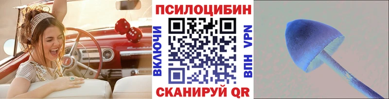Псилоцибиновые грибы Magic Shrooms  что такое наркотик  Безенчук 